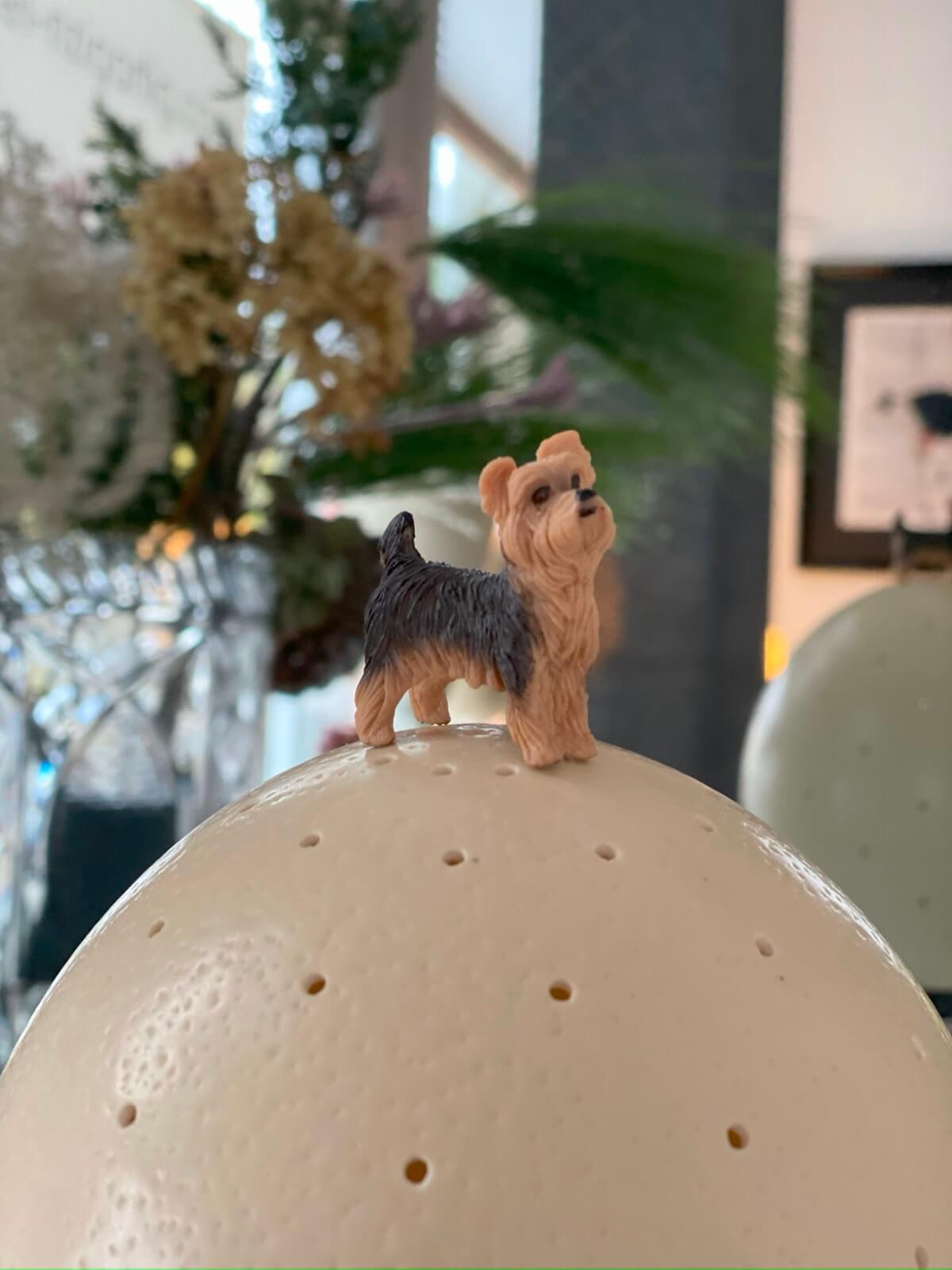 unser einzigartiges ABC - ei-nzigartig