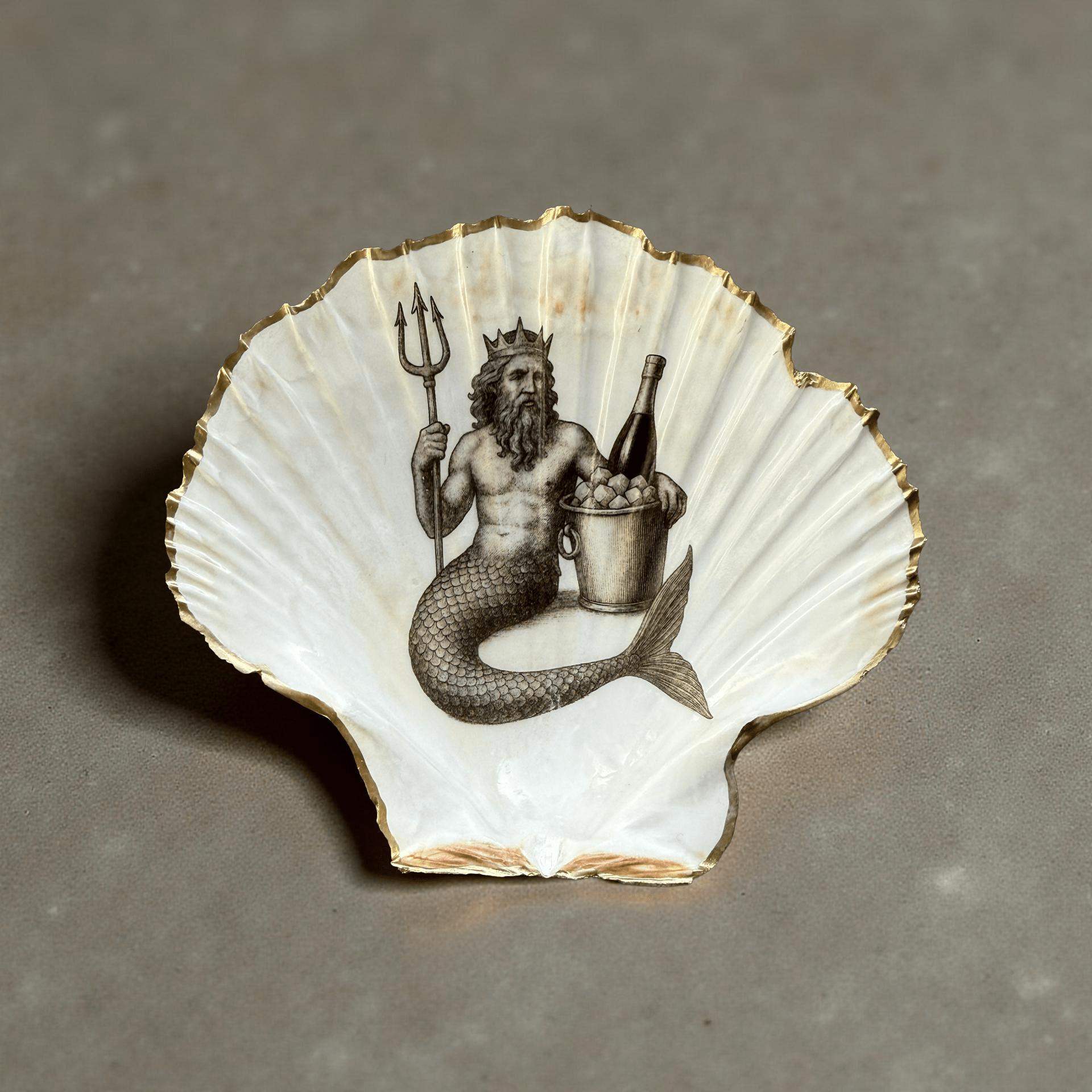 Fächermuschel - ei-nzigartig