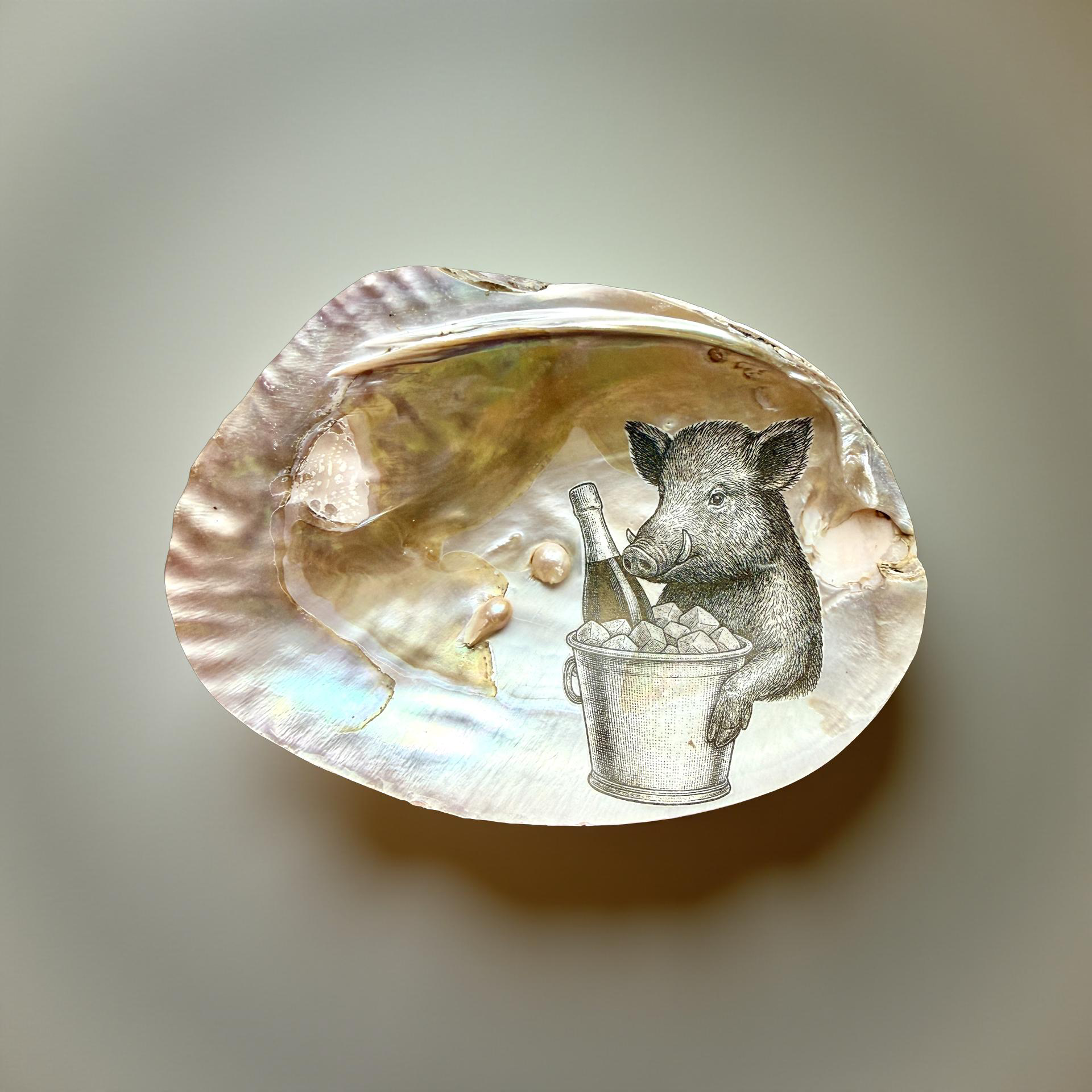 Süßwassermuscheln - ei-nzigartig