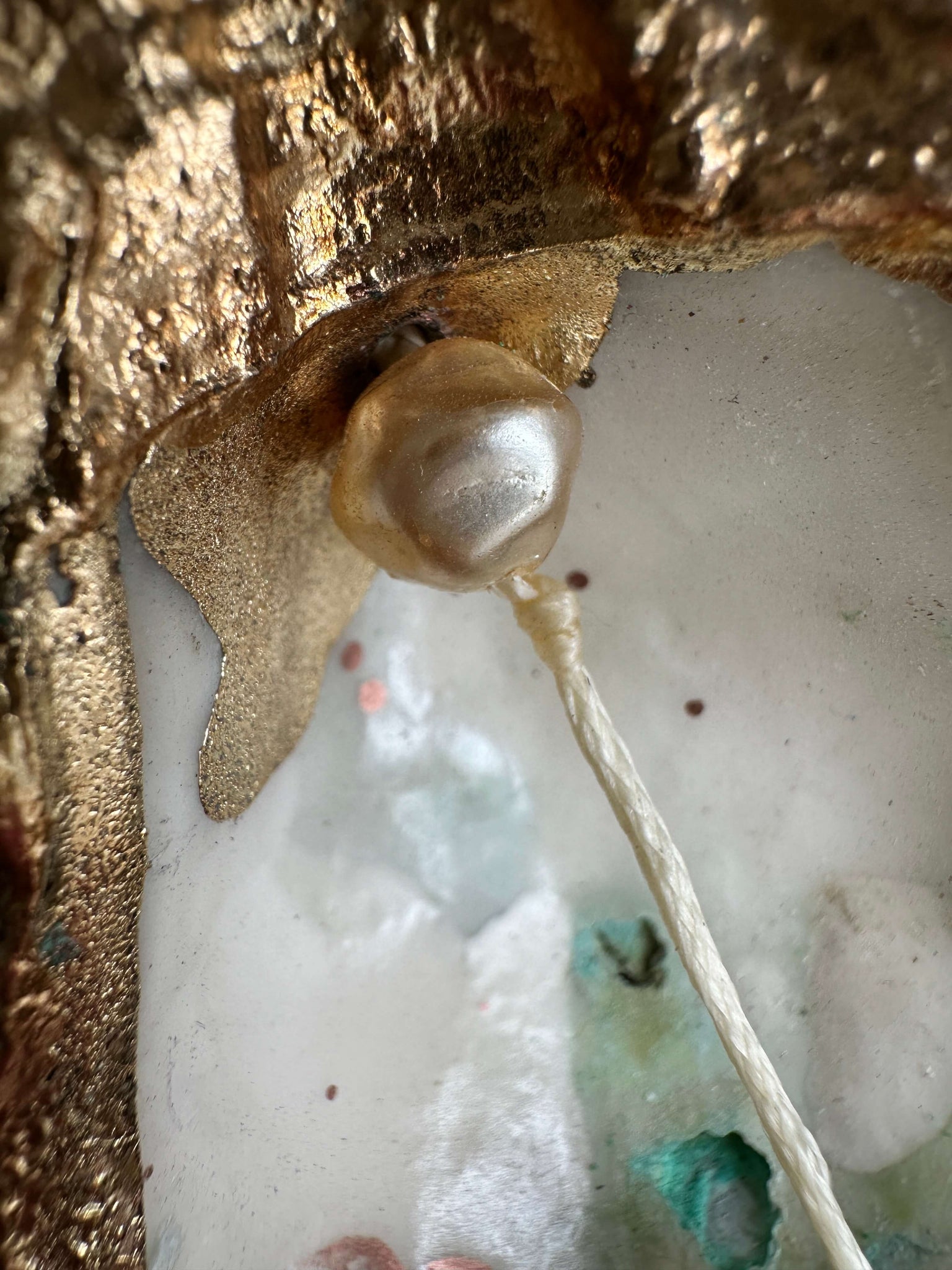 Oyster shell with pendant: cherub head matt with pearl 