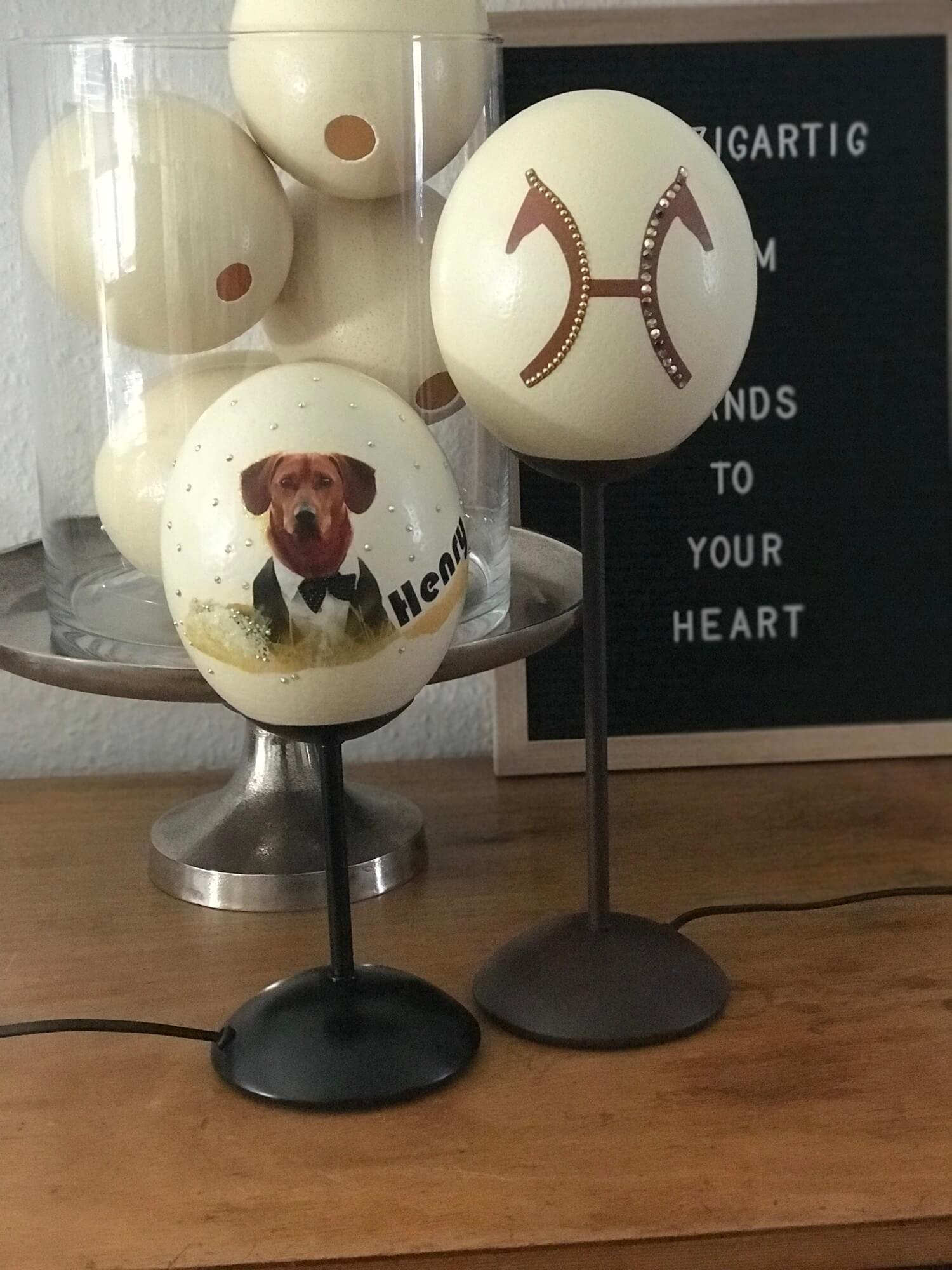 Dogs_henry.jpg