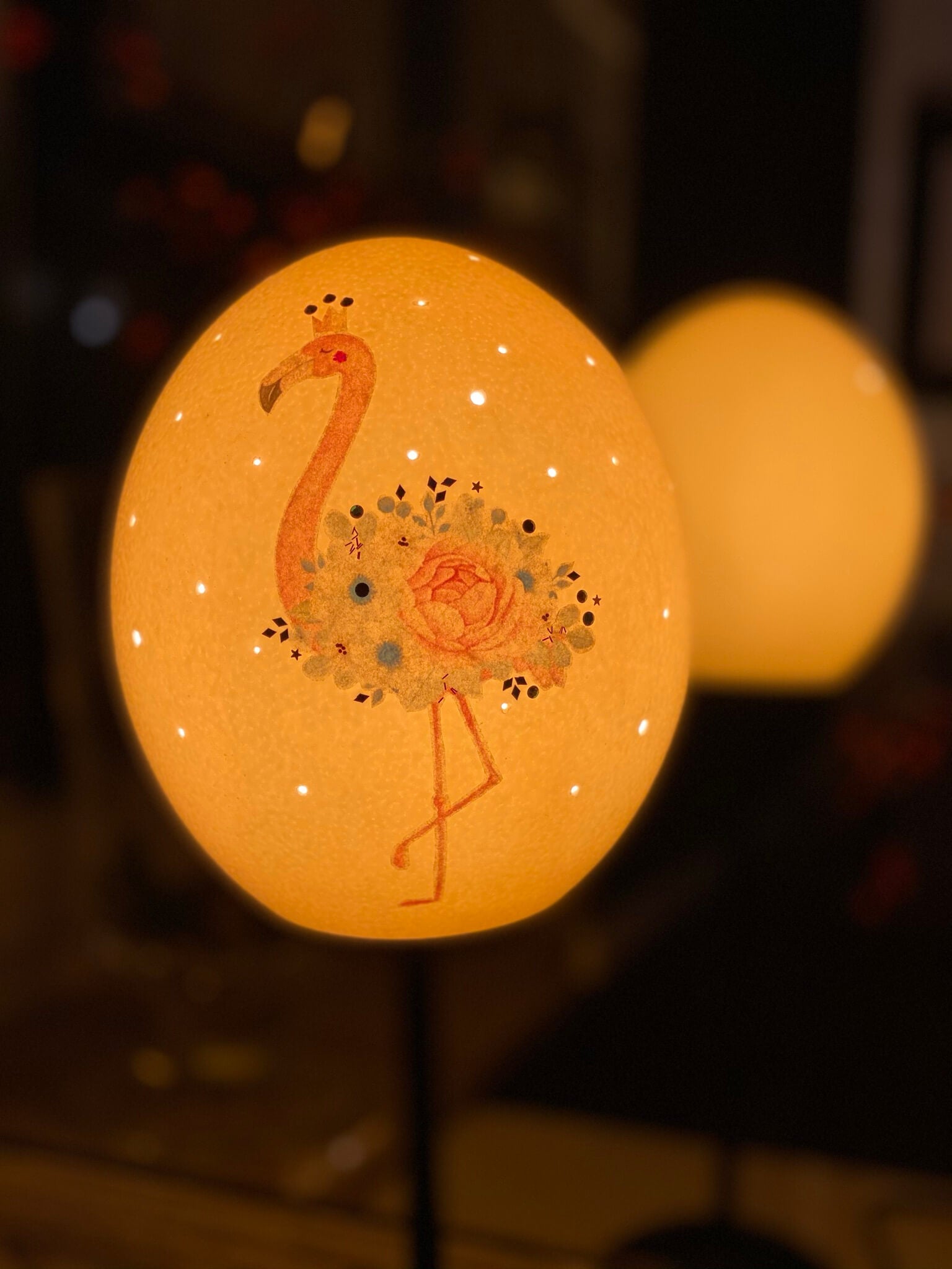 Flamingo_an.jpg