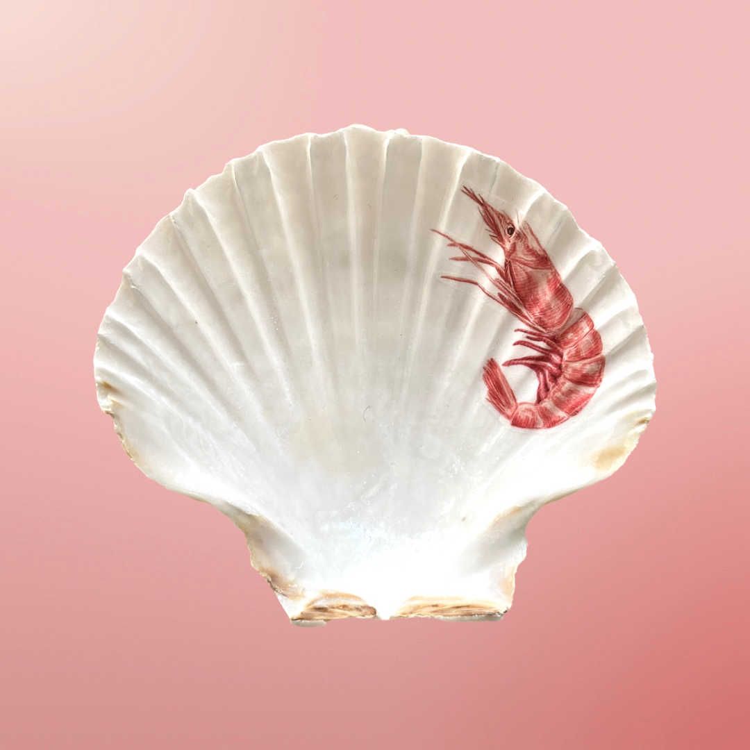 IMG_2539.png
