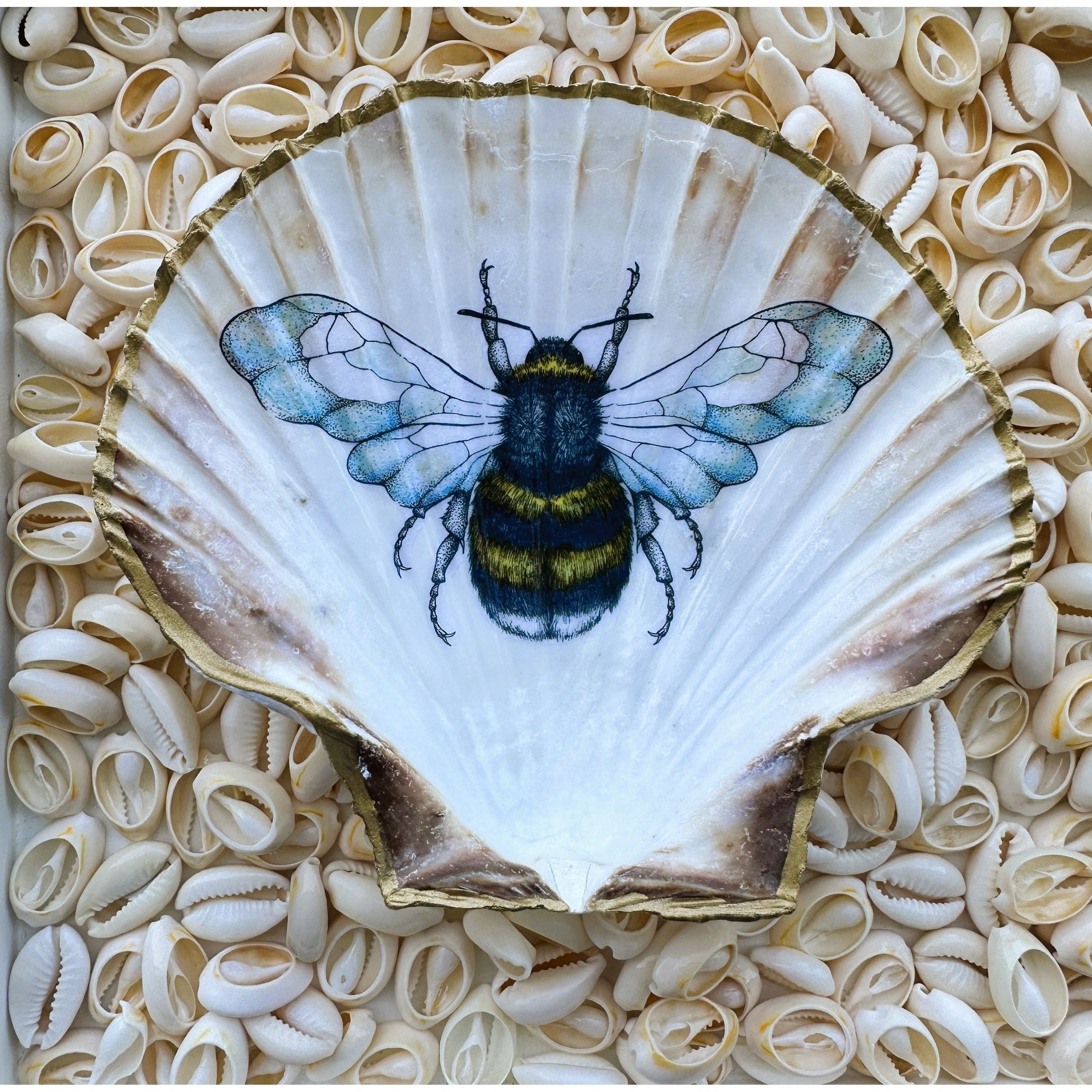 Muschel-Schale "Biene", 2 Größen