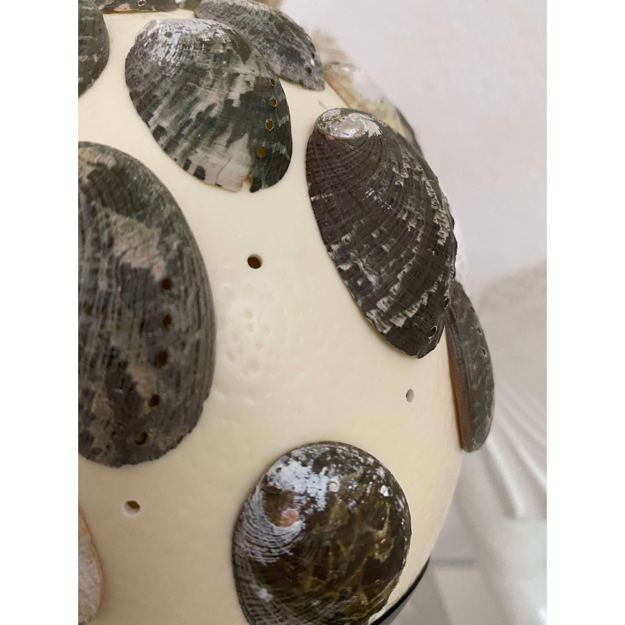 Tischleuchte "Shell and the Egg", echtes Straußenei verziert mit echten Muscheln