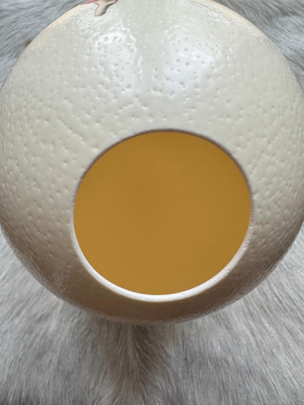 Ostrich egg lamp "Angel", real egg with radiant, feel-good light