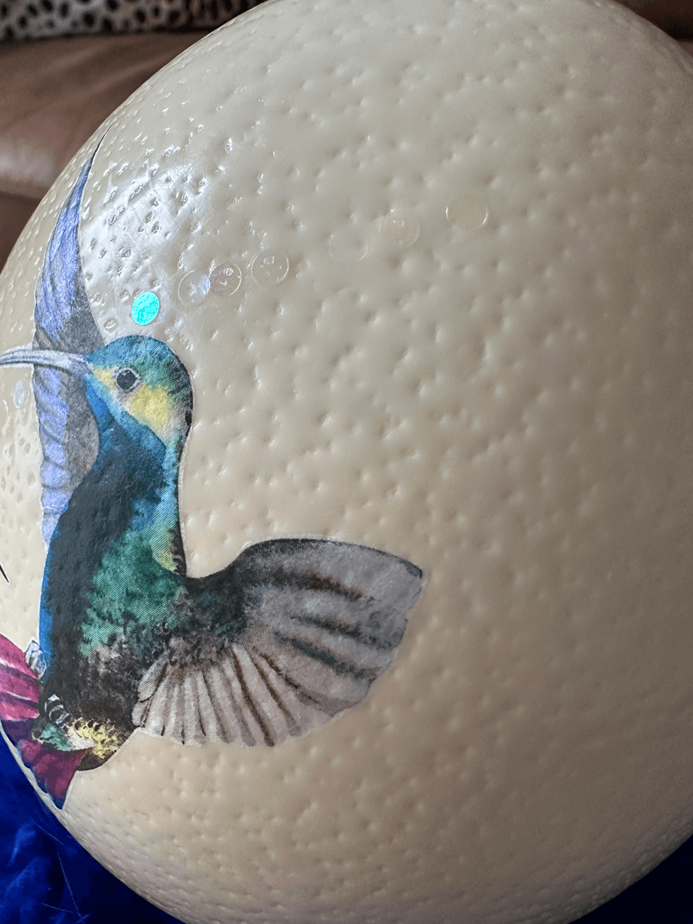 Ostrich egg "Team Hummingbird", including marabou feather wreath 