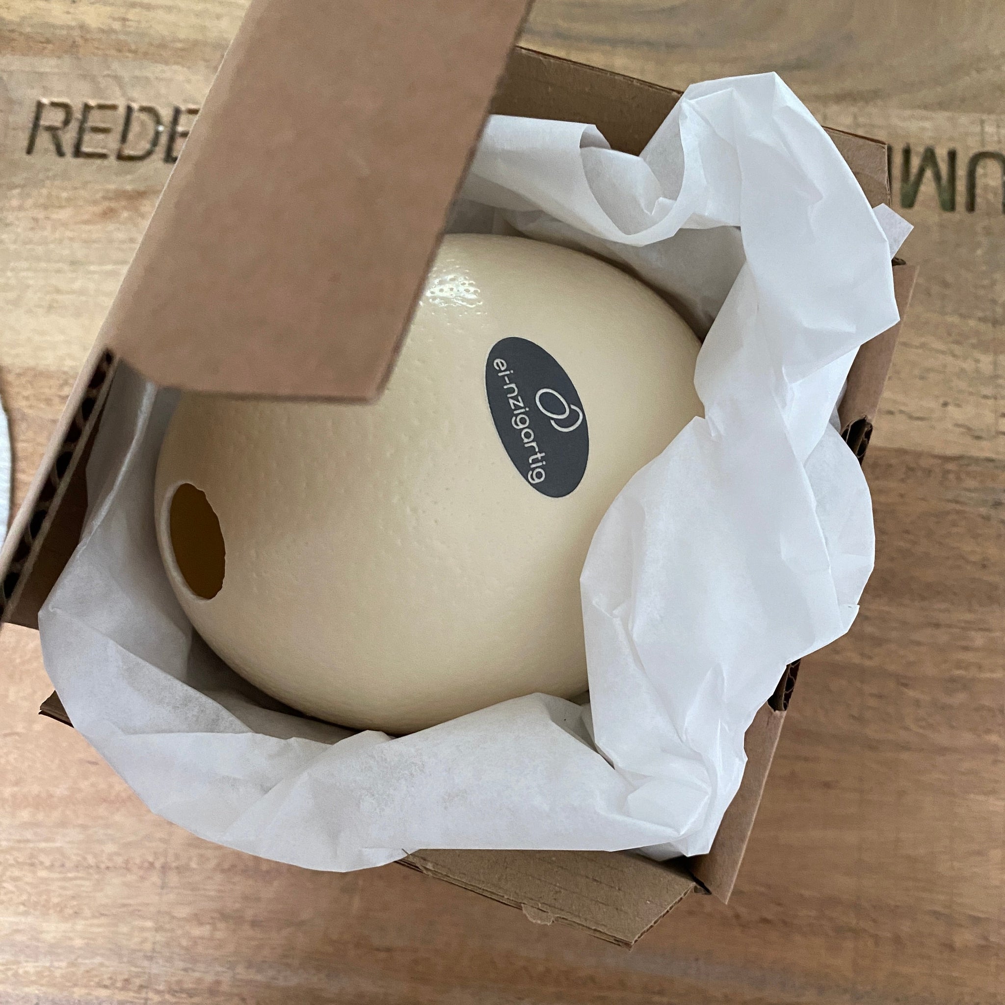 Ostrich egg “Kuh-le Kuh”