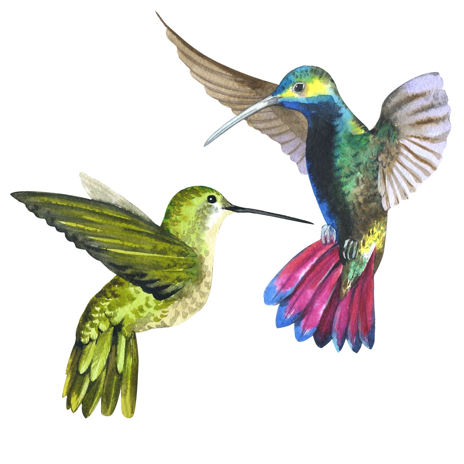 Hummingbirds (basic motif)