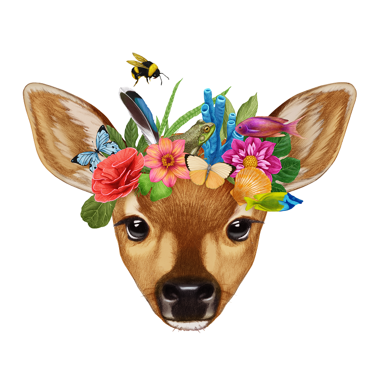 Deer (basic motif)
