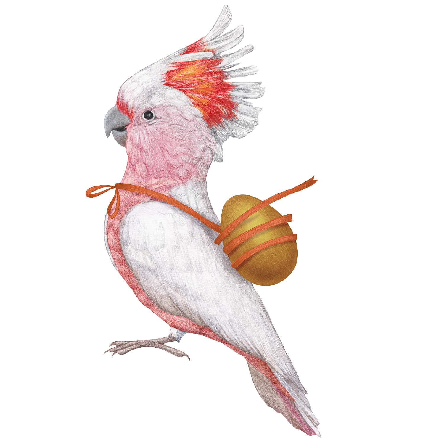 Parrot (basic motif)