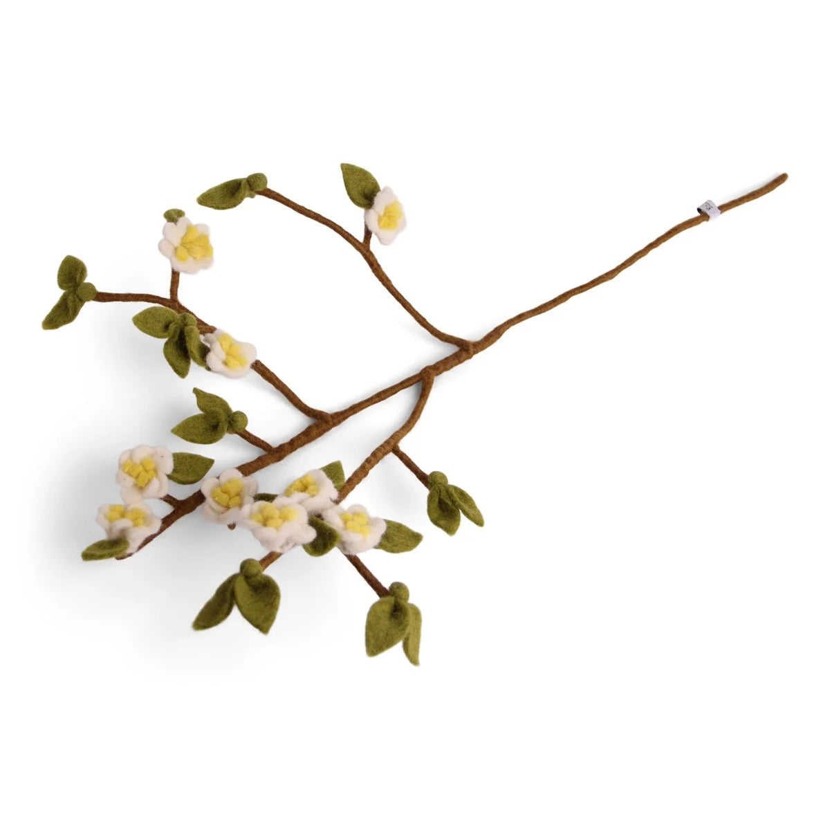 apple_branch.webp