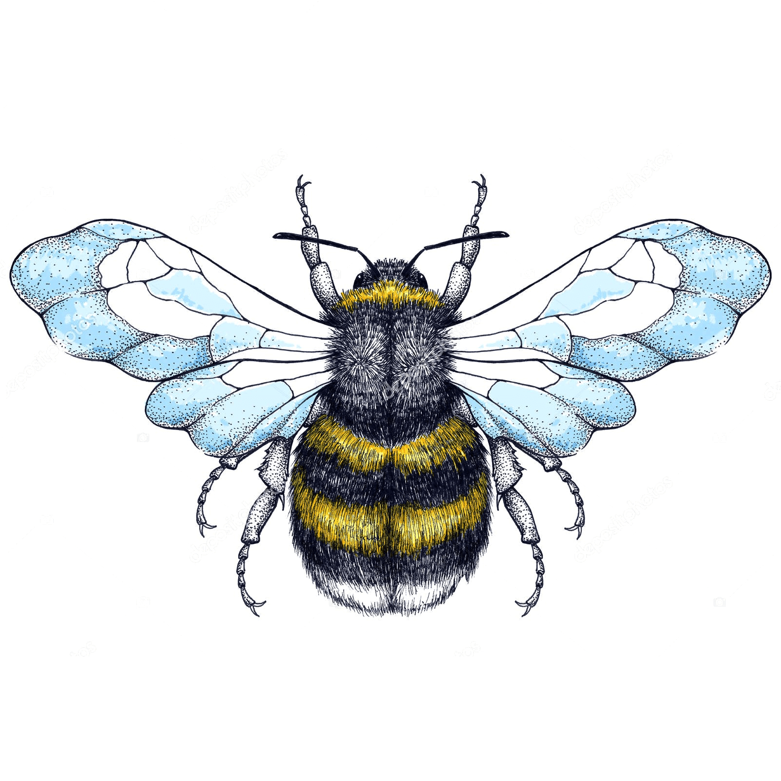 Bee (basic motif)