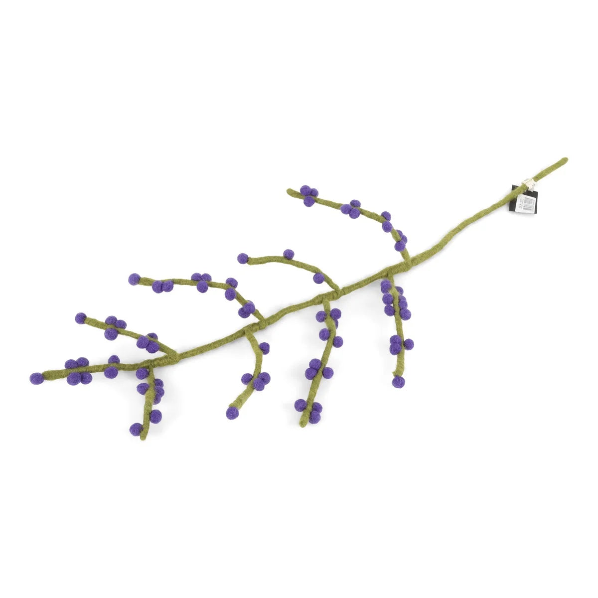 blue_berries.webp
