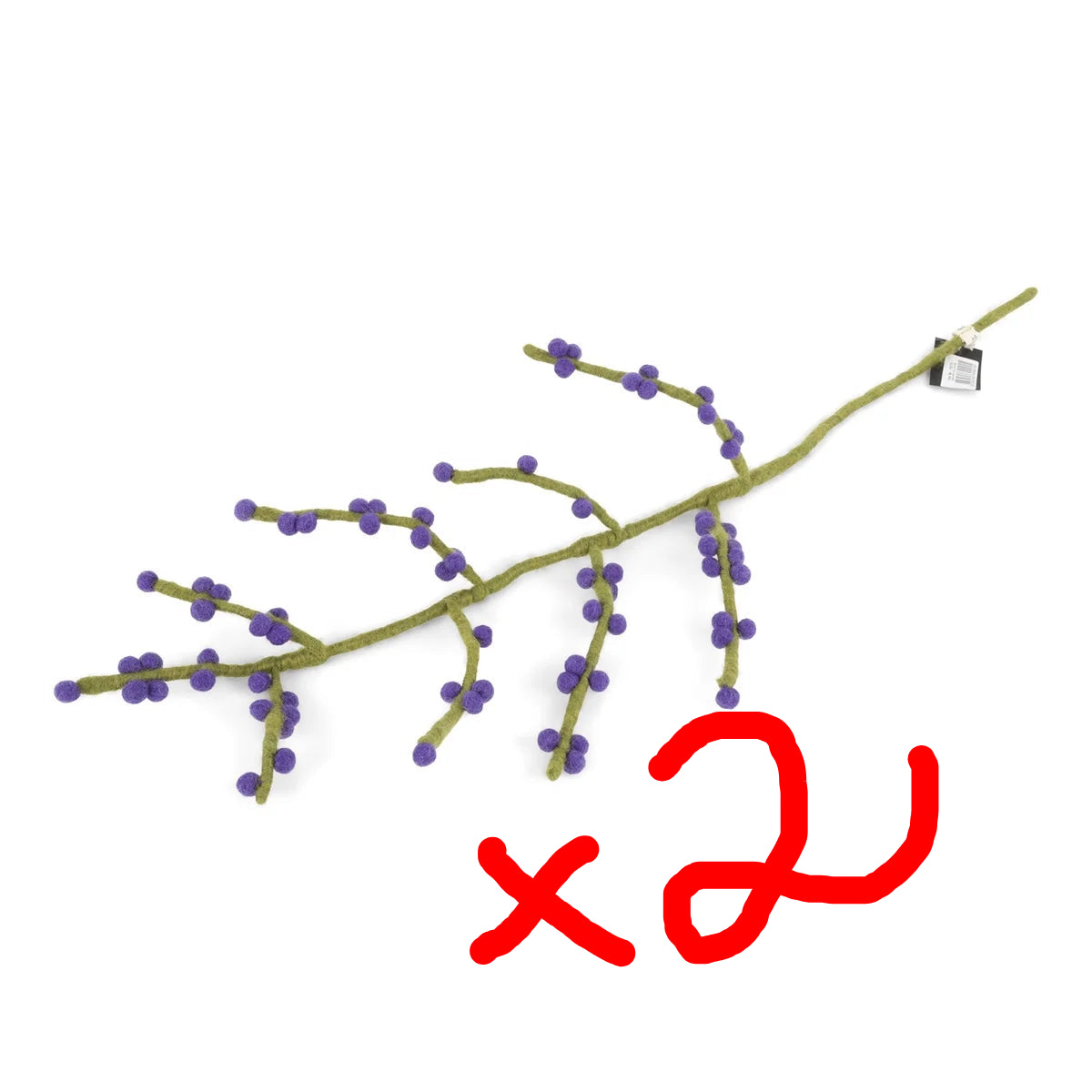 blue_berries_590b6fb4-c46d-4861-80c8-097346b74448.webp