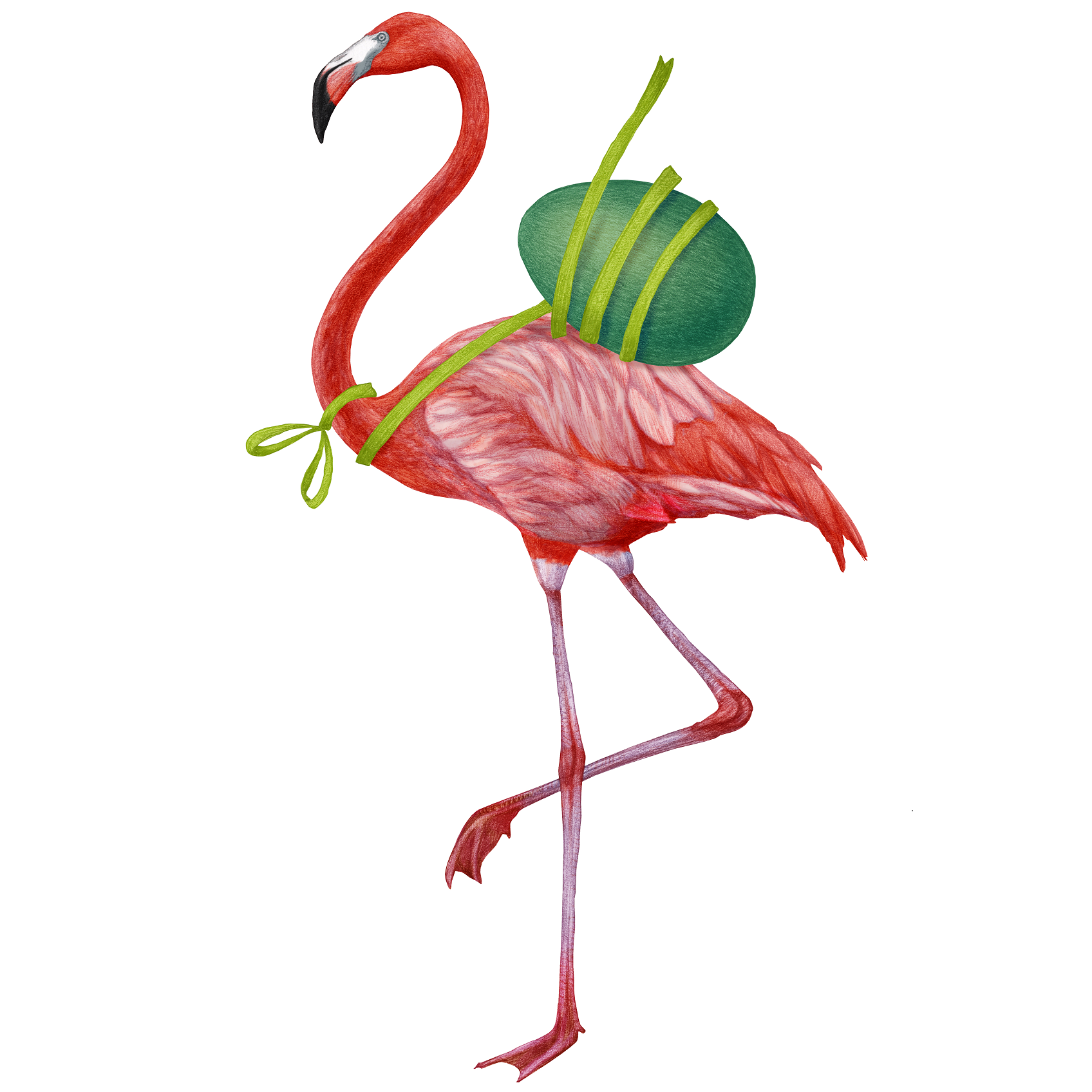 Flamingo (Basis Motiv)