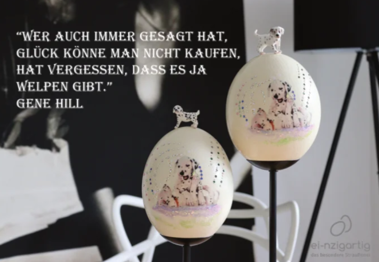 foto_dalmatiner_duo.png