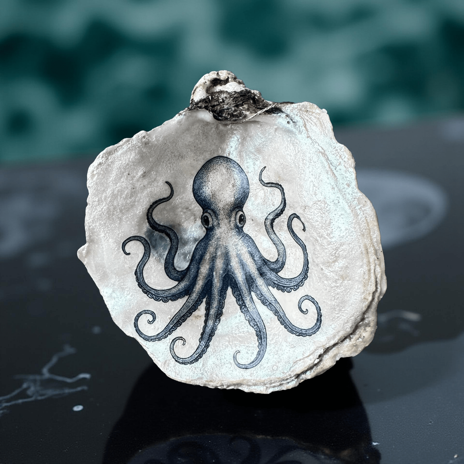 Handveredeltes Deko - Objekt: Auster "Oktopus" Kunst - Muschel mit Gold oder Perlmutt von ei - nzigartig