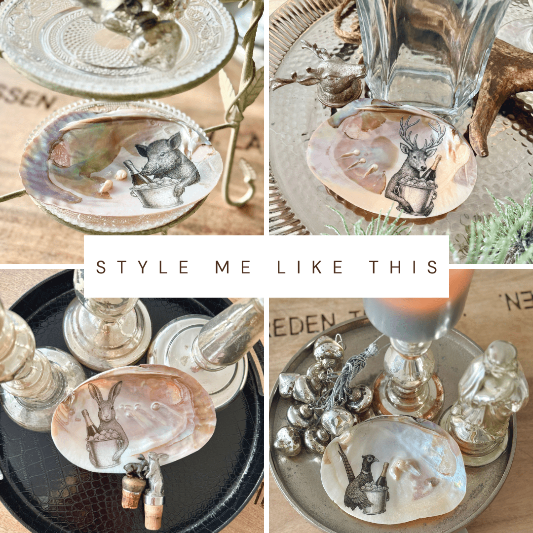 Handveredeltes Deko - Objekt: "Lord Dorn" Süsswassermuschel Unikat von ei - nzigartig