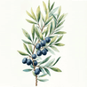 Handveredeltes Deko - Objekt: Ovo Botanica N°1 – Olive Nox von ei - nzigartig