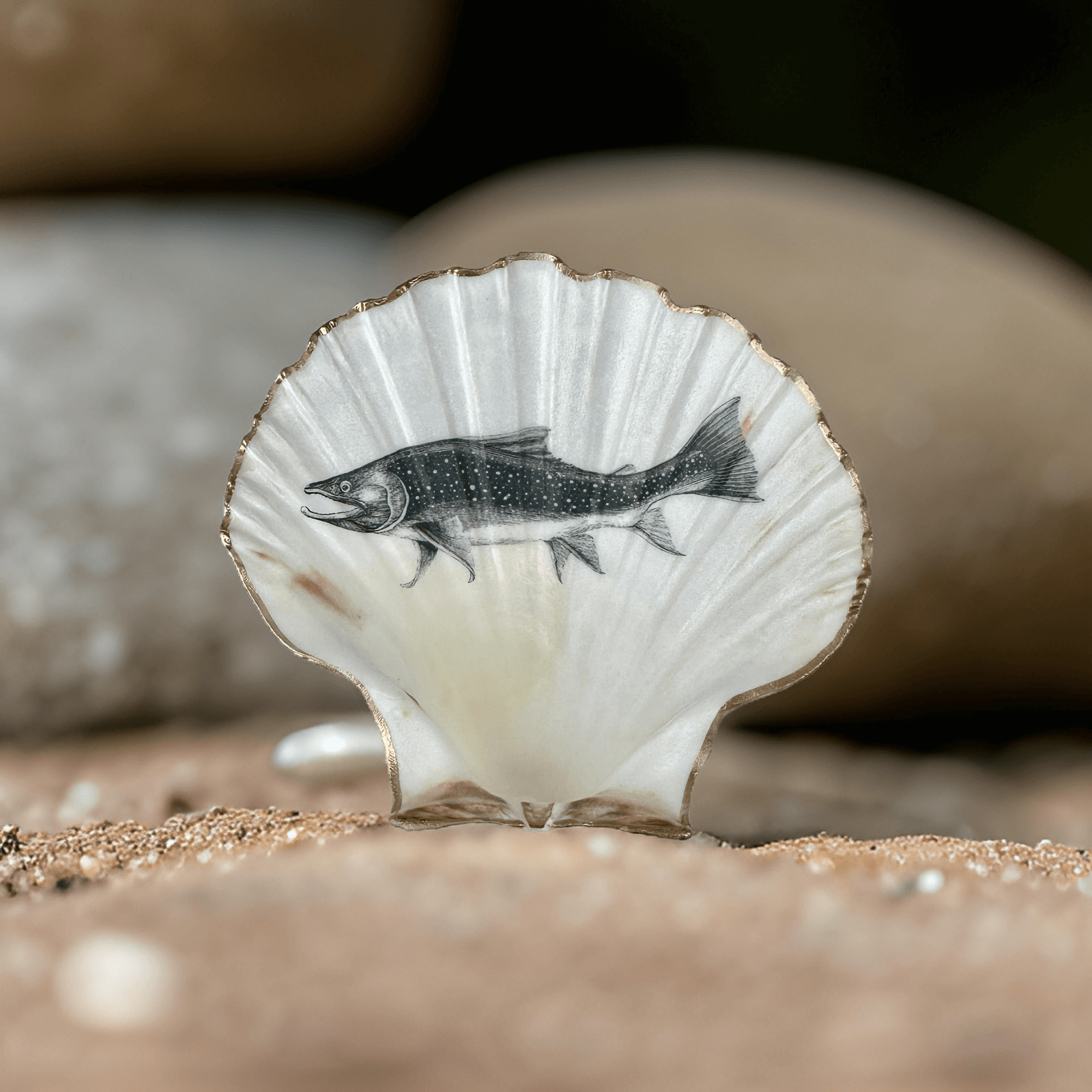Handveredeltes Deko - Objekt: Servier Muschel - Schale "Caviar Solo", 2 Größen & Kantenvarianten von ei - nzigartig