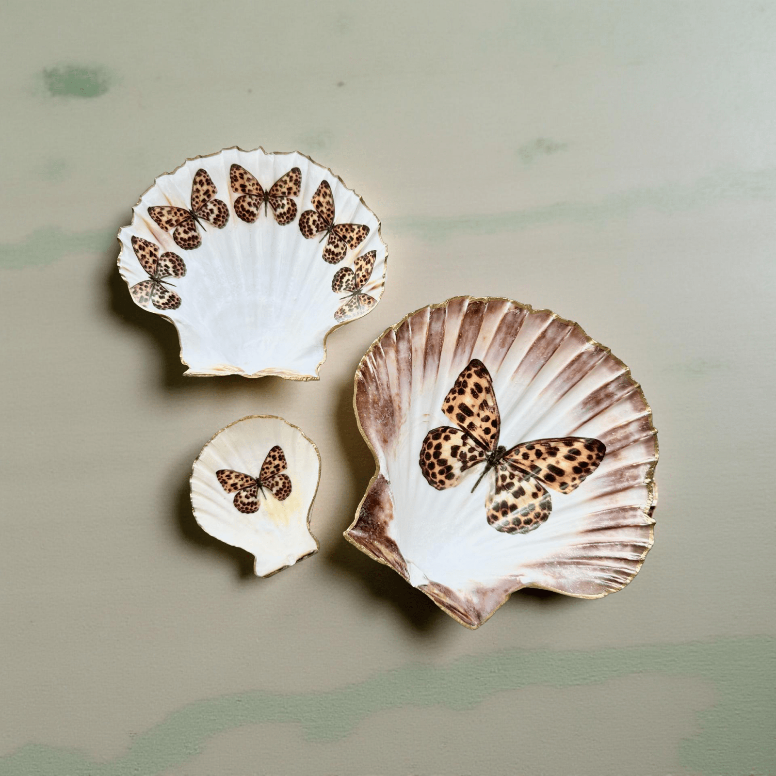 Handveredeltes Deko - Objekt: Sized Set Muschel - Schalen "Dolce Leo" (3 - teilig) 2 Kantenvarianten von ei - nzigartig