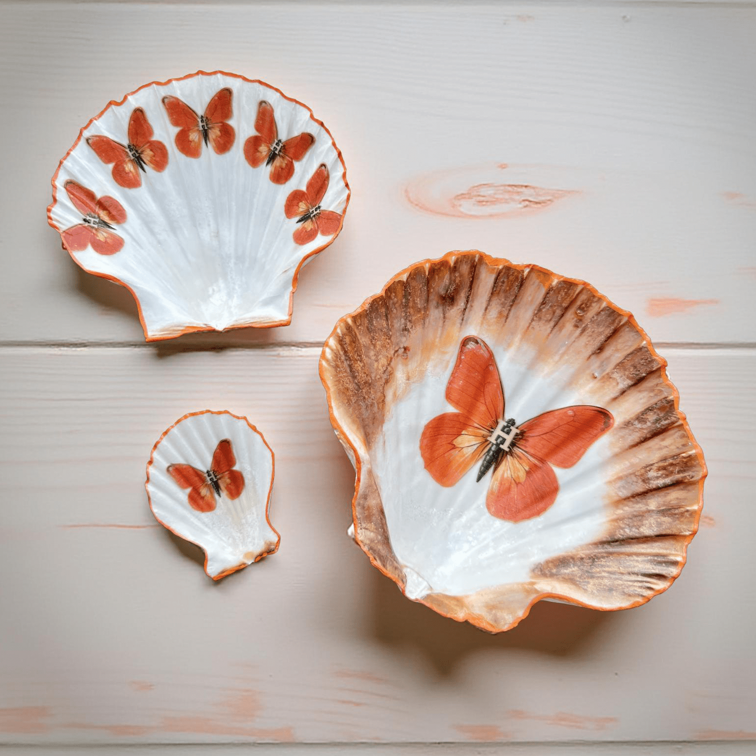 Handveredeltes Deko - Objekt: Sized Set Muschel - Schalen "Orangenfalter" (3 - teilig) 2 Kantenvarianten von ei - nzigartig