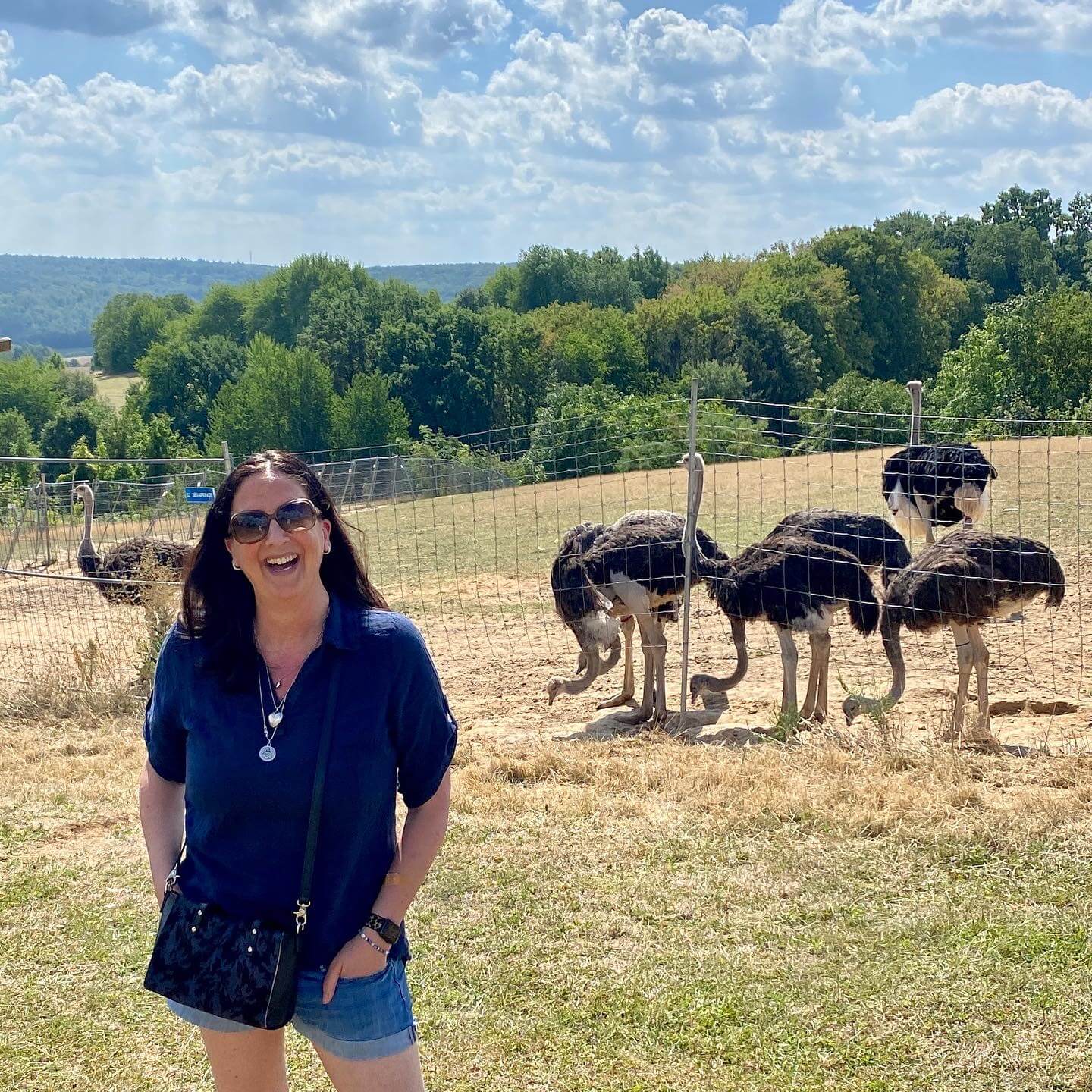 Handveredeltes Deko - Objekt: Straußenei "Frida goes Amalfi", Glow, inkl. Federkranz von ei - nzigartig