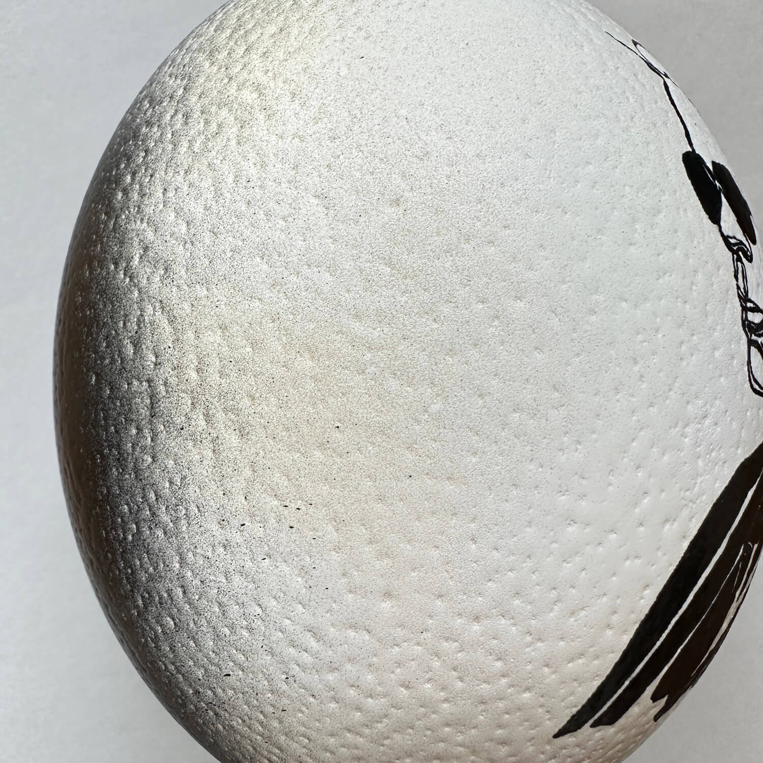 Handveredeltes Deko - Objekt: Straußenei "Karl" Black & White Edition von ei - nzigartig
