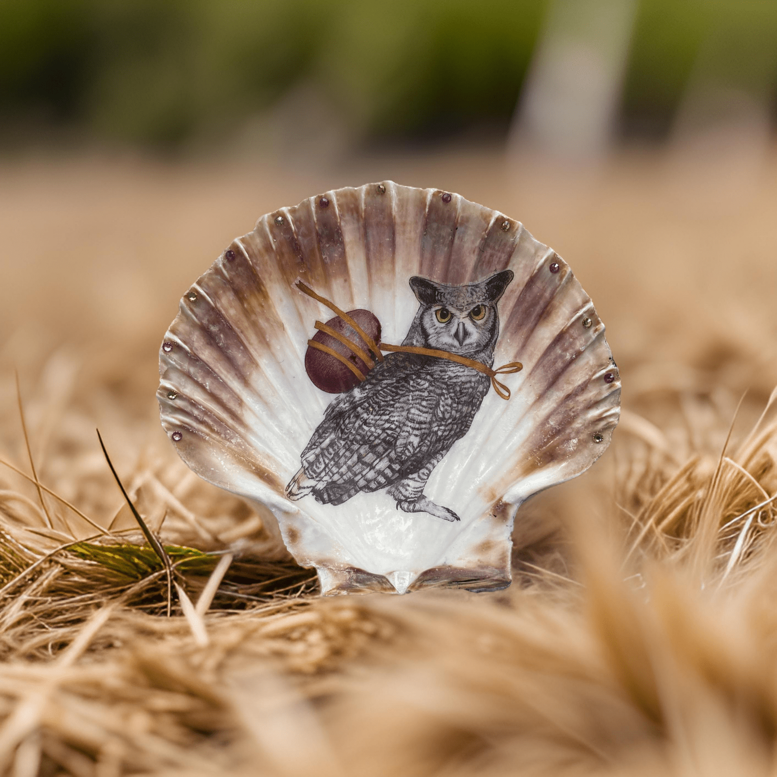 Handveredeltes Deko - Objekt: XL Muschel - Schale "Easter Owl" von ei - nzigartig