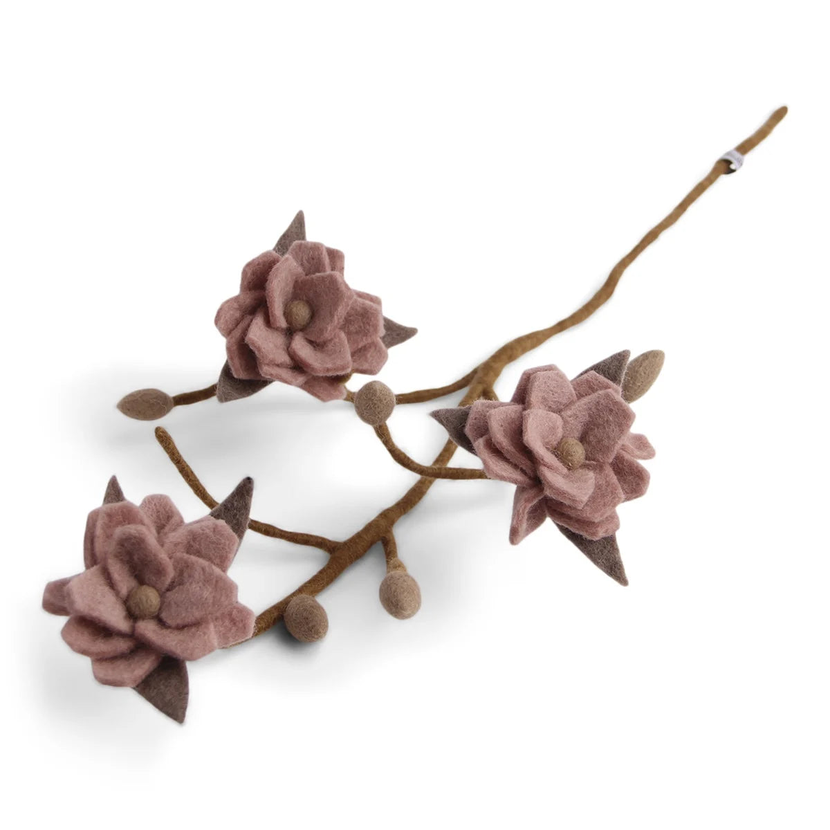 magnolia_branch.webp