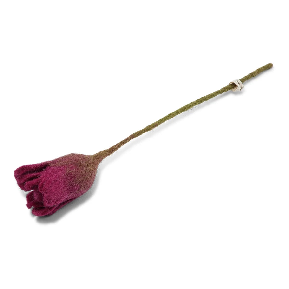 tulip_cerise.webp