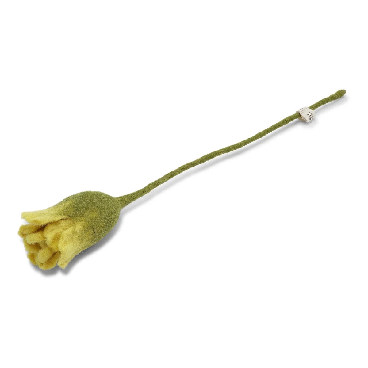 tulip_light_yellow.webp