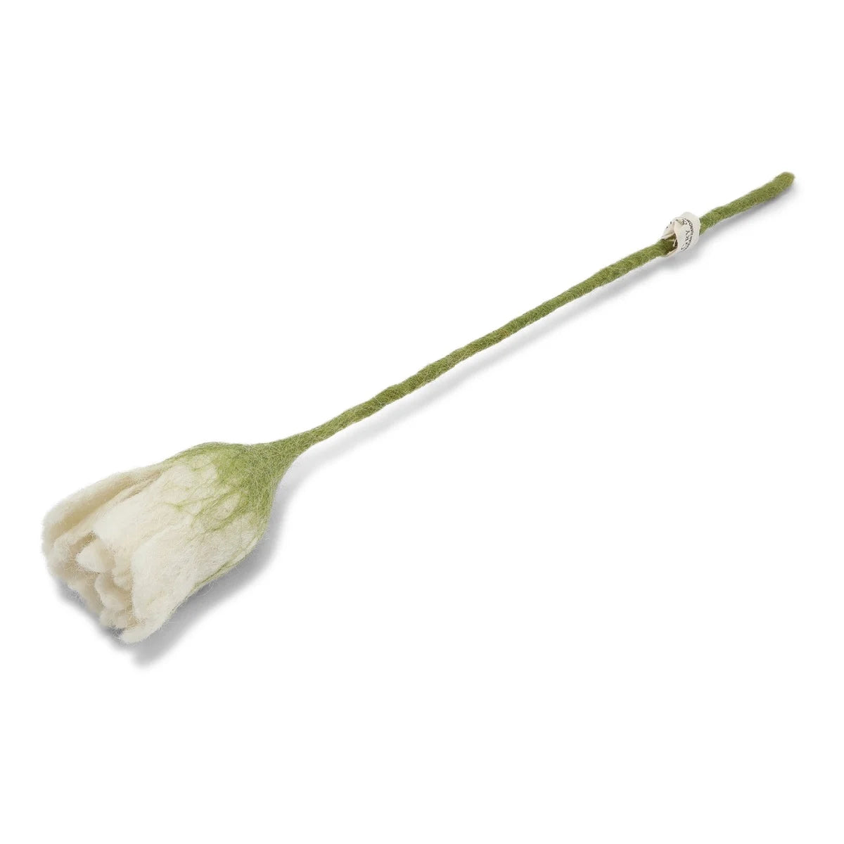 tulip_white.webp