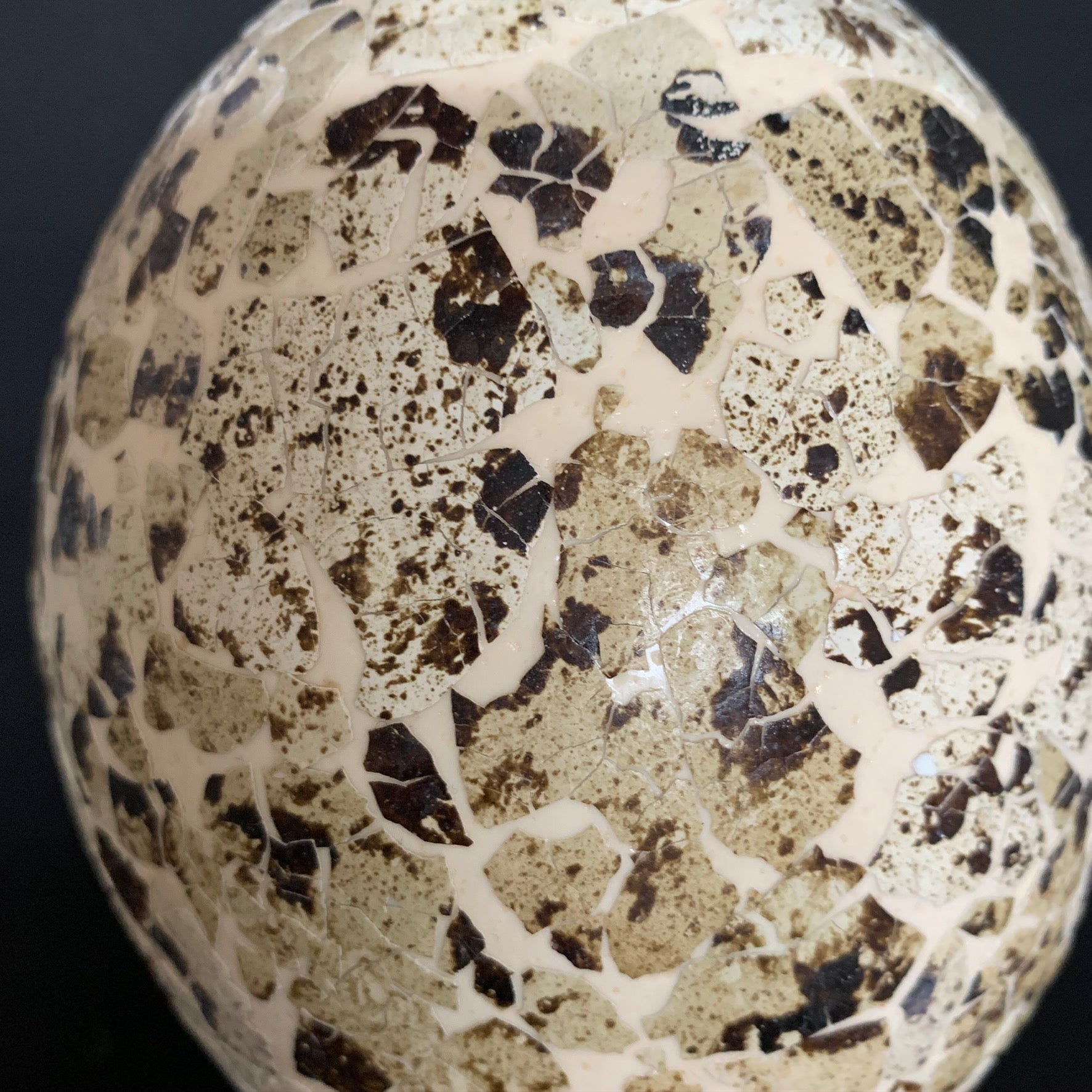 Ostrich egg decorated all around with quail egg shells