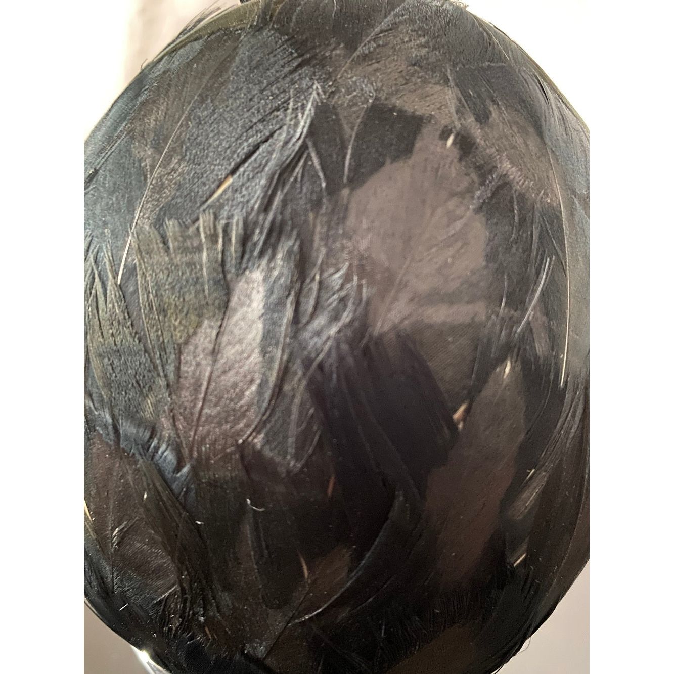 Straußenei ringsum besetzt mit echten Gänse-Federn (schwarz gefärbt)