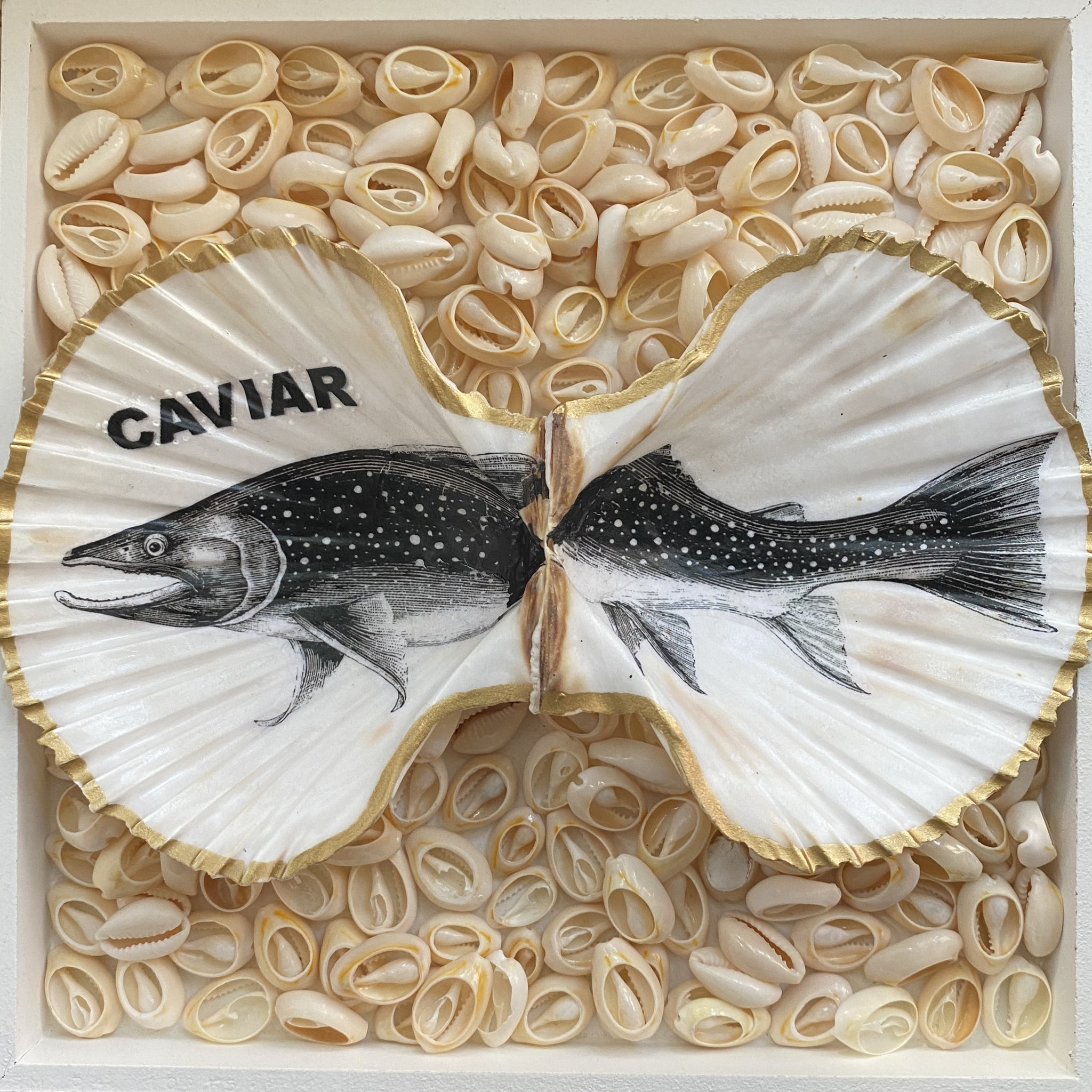 2er Set Caviar Duo, echte Jakobsmuschel