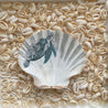Ocean Kollektion: echte Jakobsmuschel 
