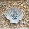 Ocean Kollektion: echte Jakobsmuschel 