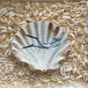 Ocean Kollektion: echte Jakobsmuschel 