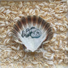 Ocean Kollektion: echte Jakobsmuschel 