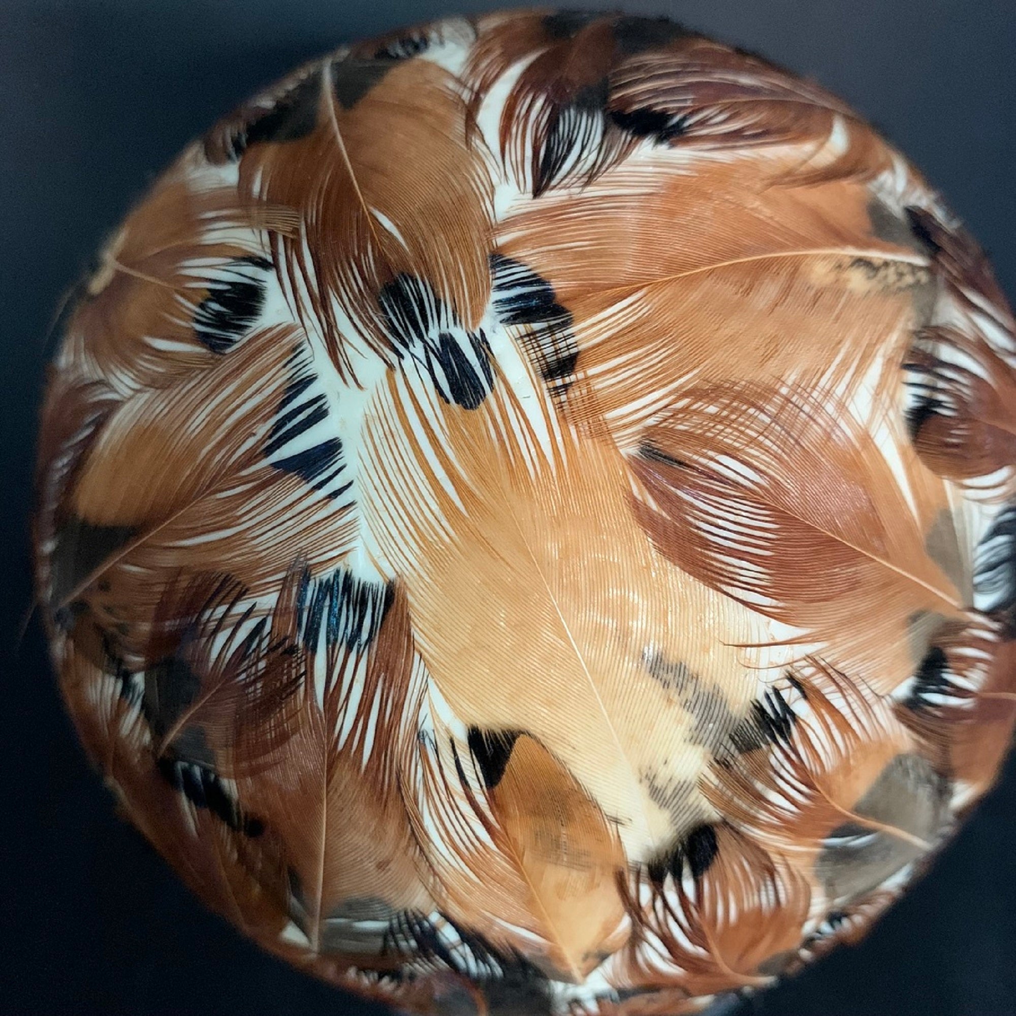 Ostrich egg lamp decorated all around with real wild pheasant feathers